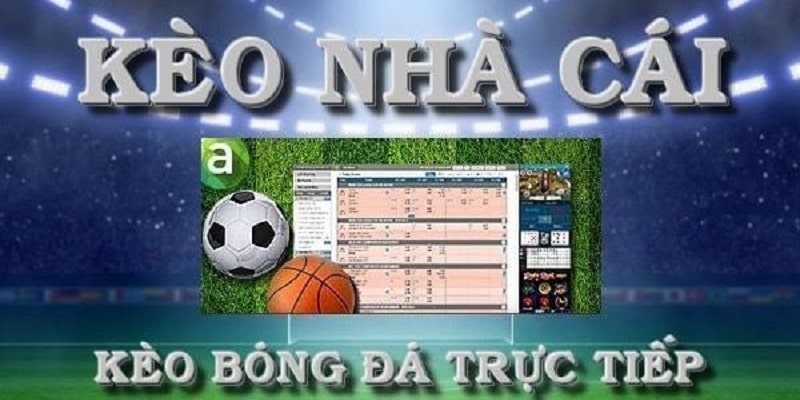 Hiểu rõ tỷ lệ bóng đá kèo nhà cái