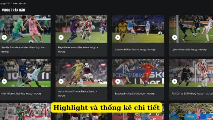 Highlight và thống kê chi tiết